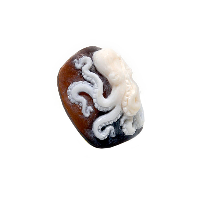 Cammeo incisione Polipo