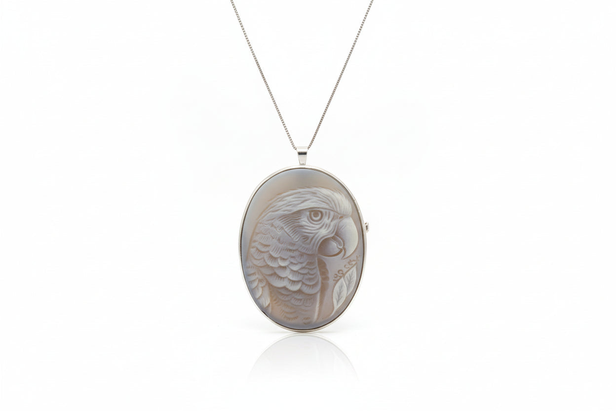 Pendente Spilla in Agata incisione "Pappagallo Portobello"