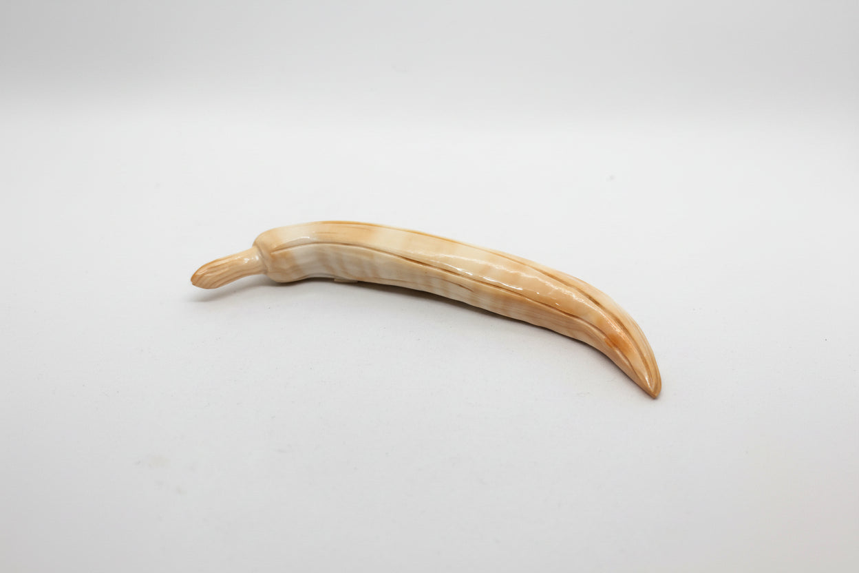 Suppellettile in Conchiglia incisione "Banana"