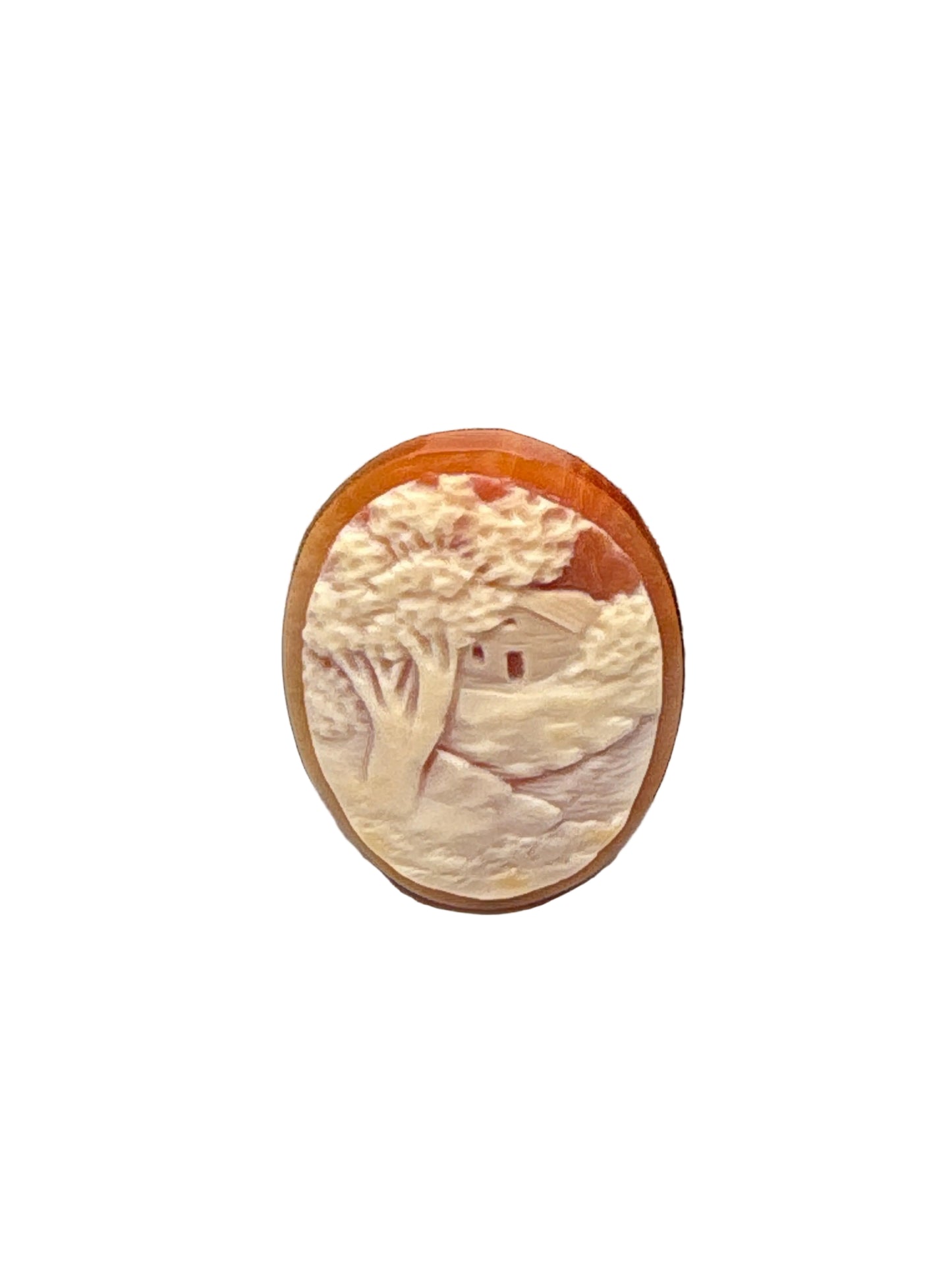 Cammeo Nudo Antico Paesaggio