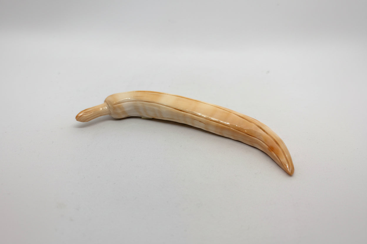 Suppellettile in Conchiglia incisione "Banana"