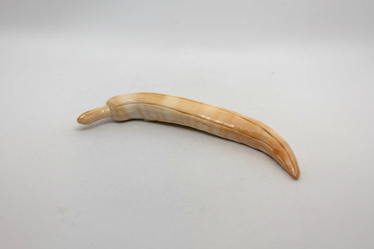 Suppellettile in Conchiglia incisione "Banana"