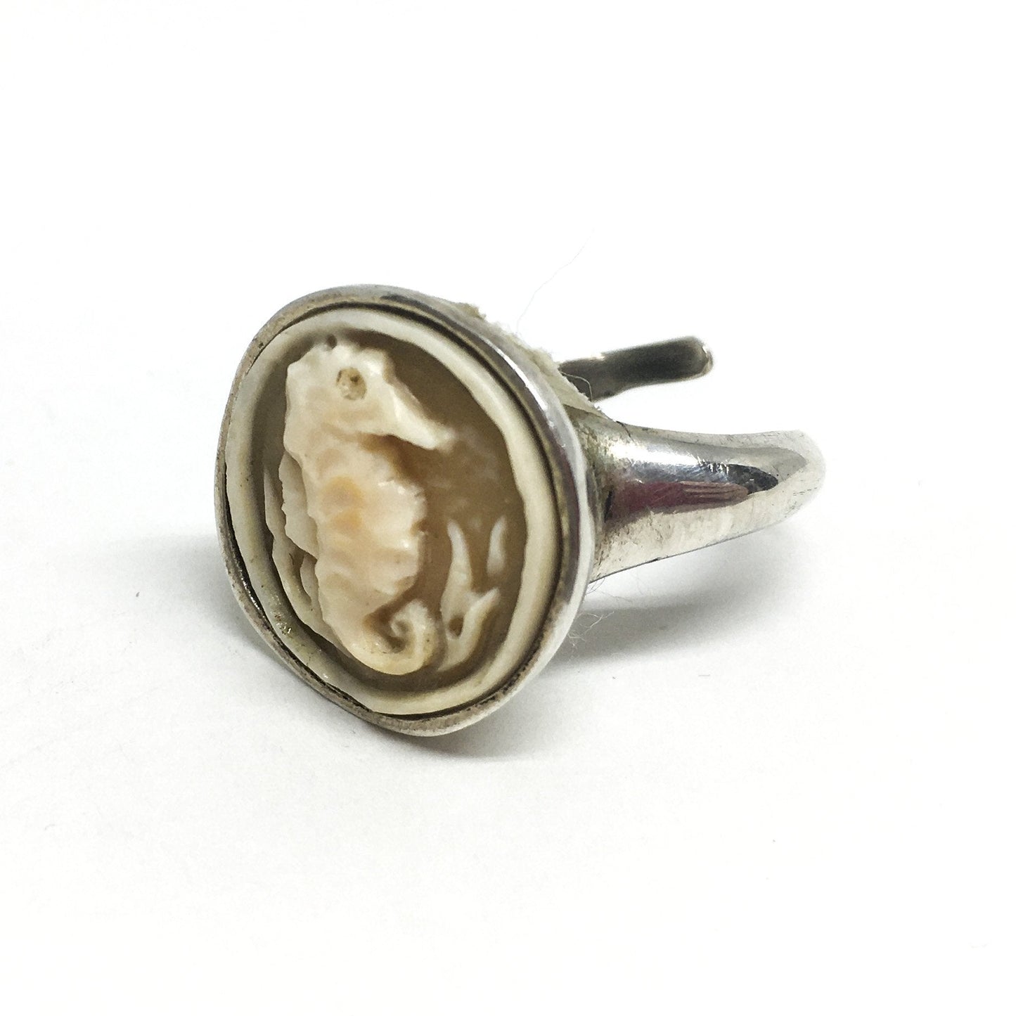 Anello cammeo cavalluccio marino