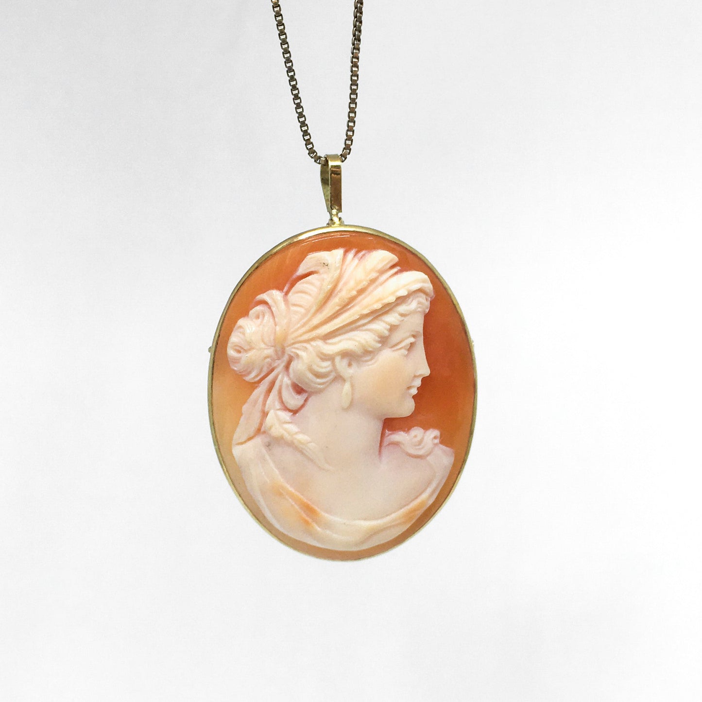 Cameo Pendant/Brooch on Carnelian