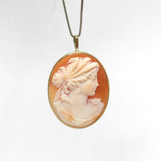 Cameo Pendant/Brooch on Carnelian