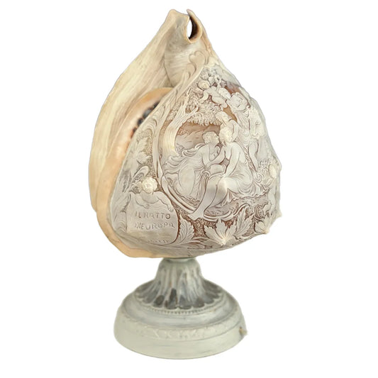 il-piccolo-museo-del-cammeo-Lampada-Cammeo-suConchiglia-_RattoD_Europa